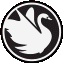 Swan